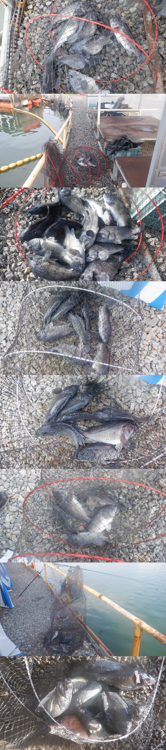 29dddf476a5ad32bd1ba39a4577617a1_1775472