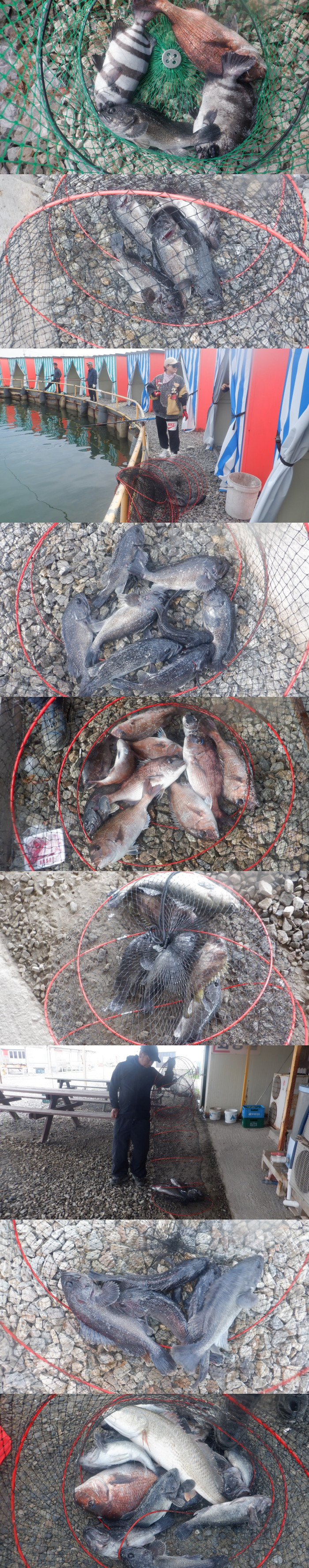 718c138aee72d49f6b1bd55462825437_1776758