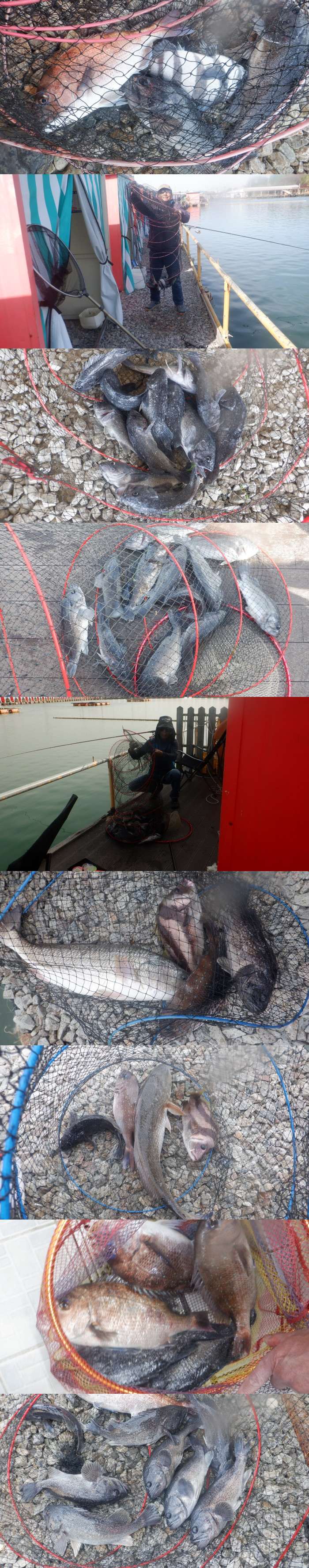 7392145aad33a8669334a37b81bc5442_1776930