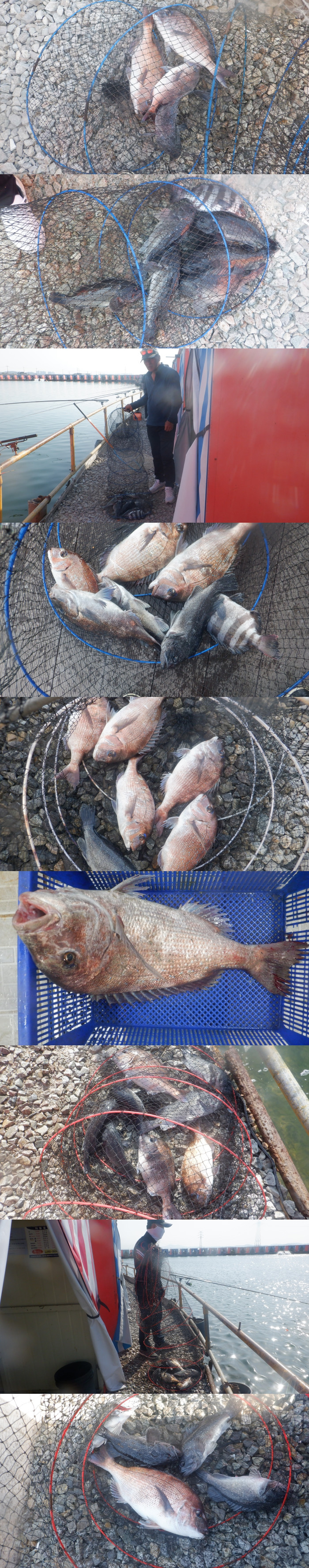 8399557bf529e045b7c98612ee93c948_1776584