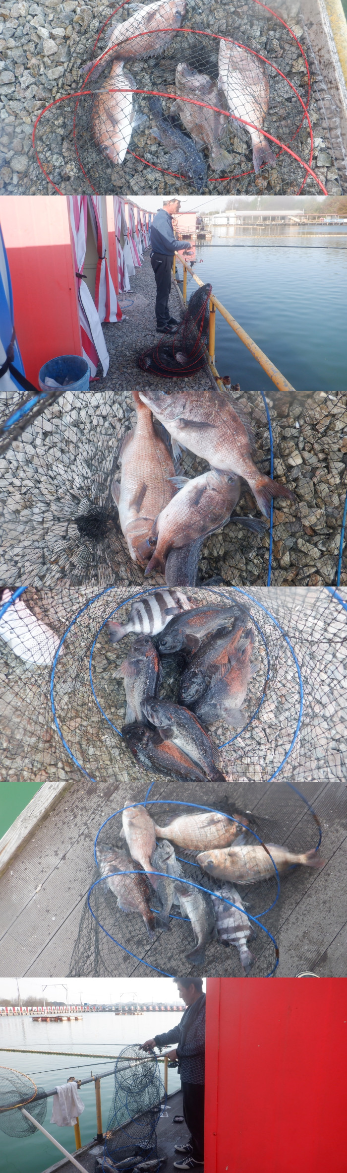 8399557bf529e045b7c98612ee93c948_1776584