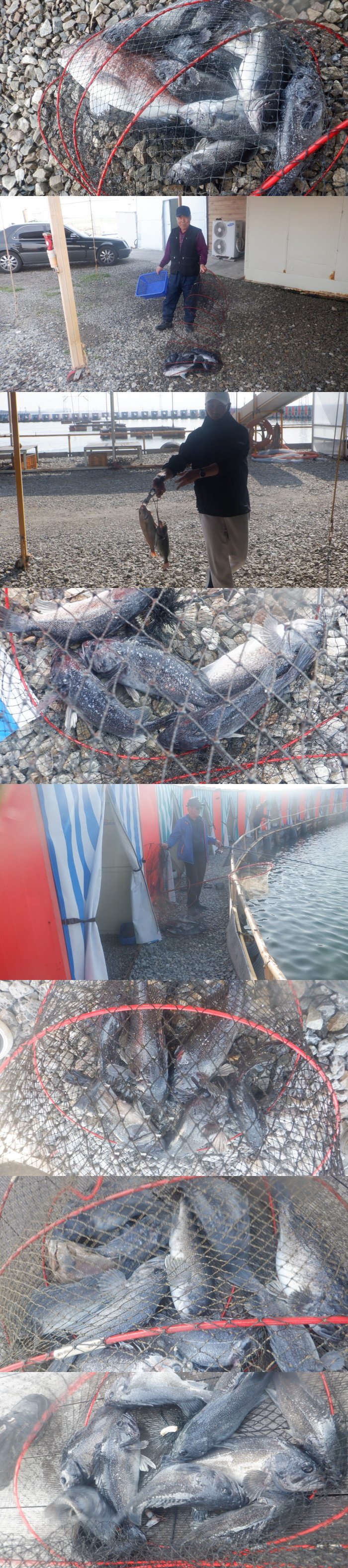 8a878ce0221eef512eec503051c49667_1776241