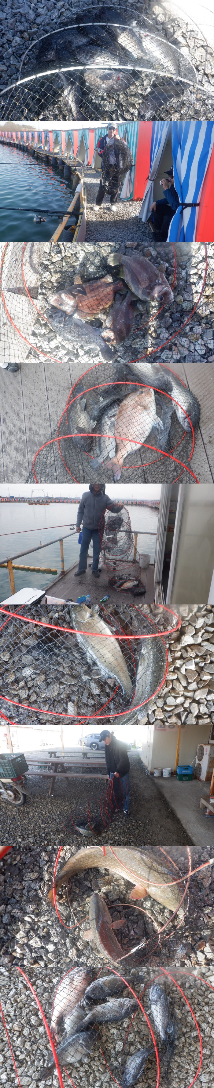 97c1cea49f8de066ce5c98e34f428ca5_1776504