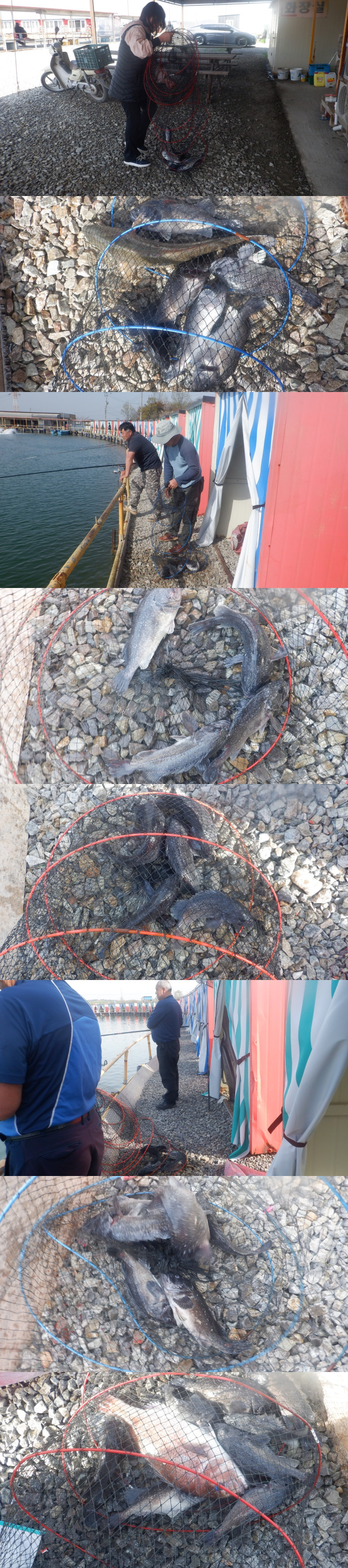 97c1cea49f8de066ce5c98e34f428ca5_1776504