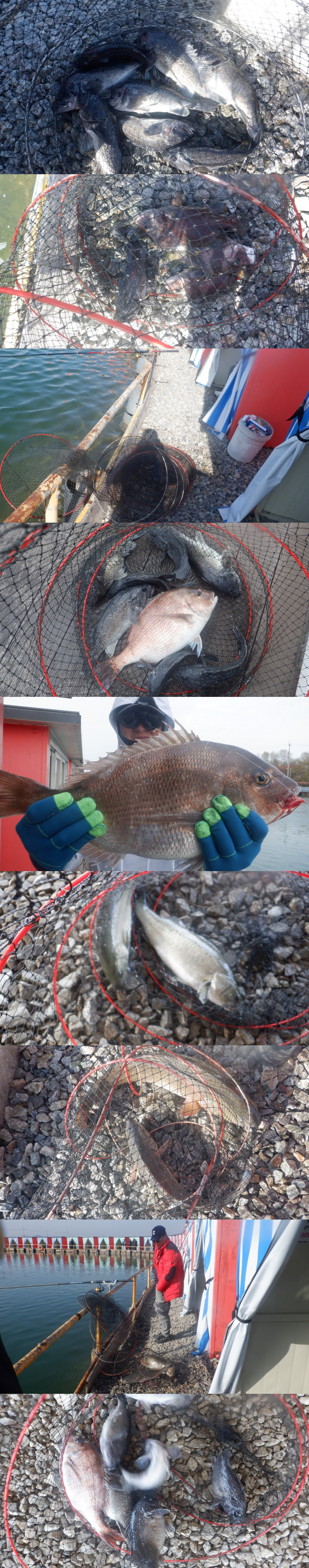 97c1cea49f8de066ce5c98e34f428ca5_1776504