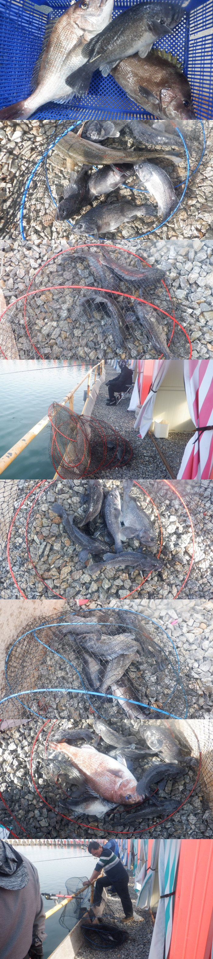 97c1cea49f8de066ce5c98e34f428ca5_1776504