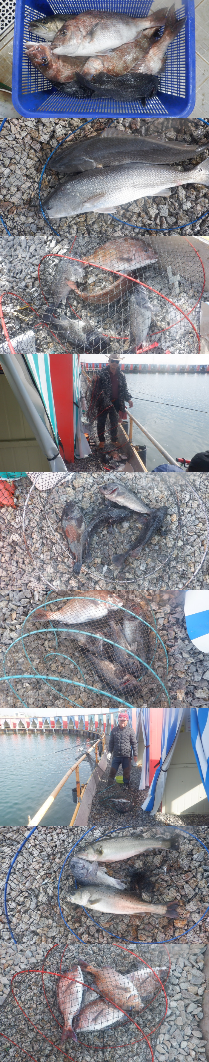 a59b17b4cbf2de8e6f22dfd599368679_1775984