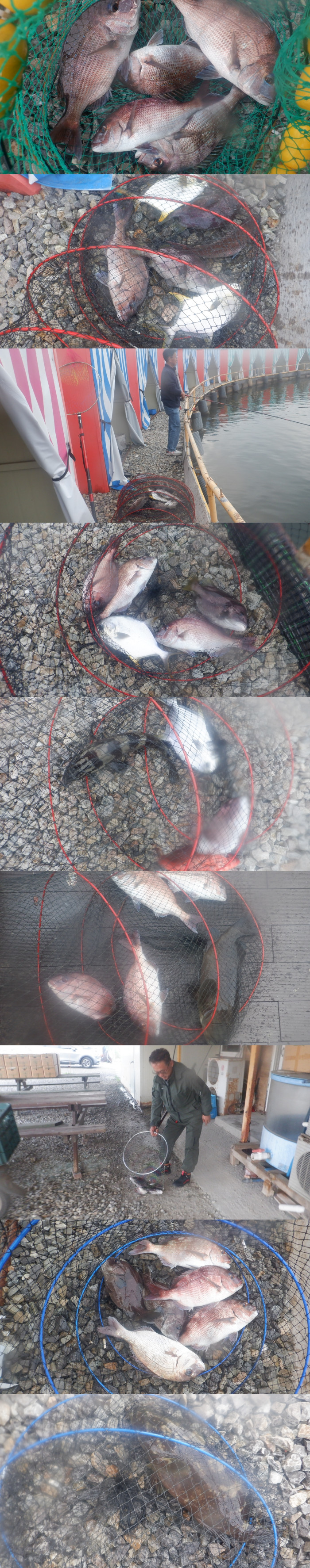 1d5f40618d47fa400b23e645ef93e62e_1791022